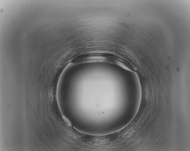 X0000073700697200608101814