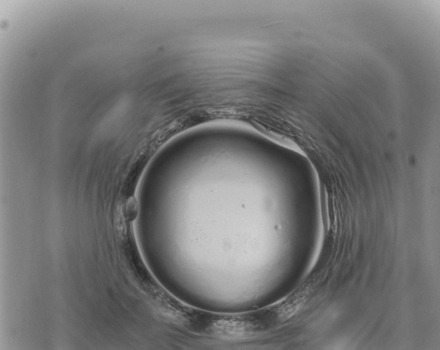 X0000073700699200608101814