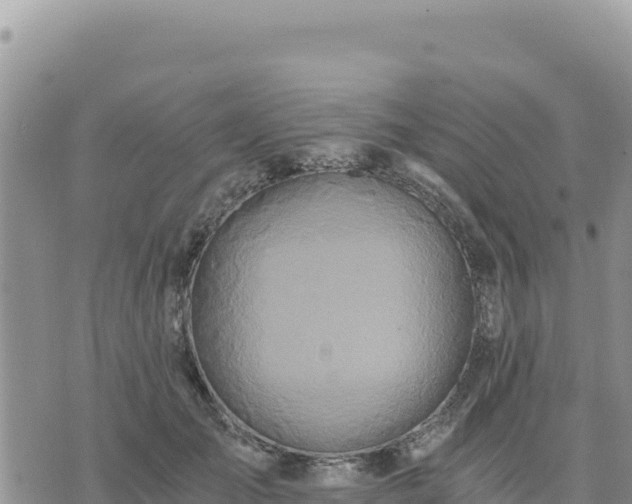 X0000073700701200608101814