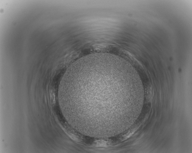 X0000073700703200608101814