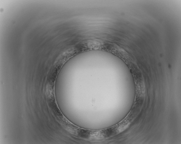 X0000073700705200608101814