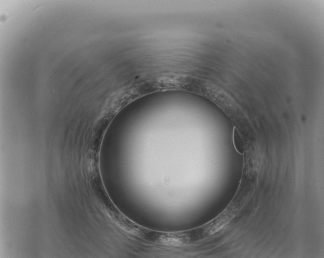 X0000073700706200608101814