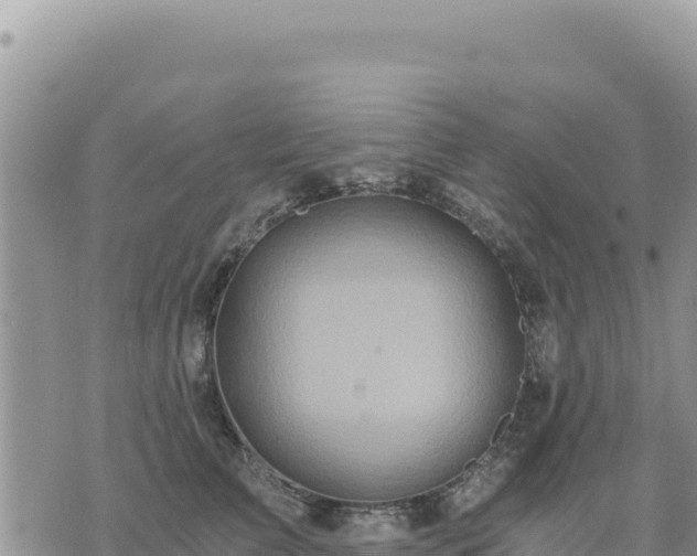 X0000073700709200608101813