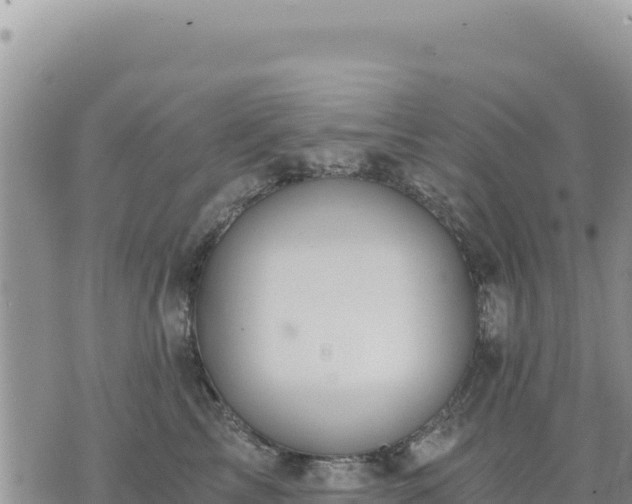 X0000073700713200608101813