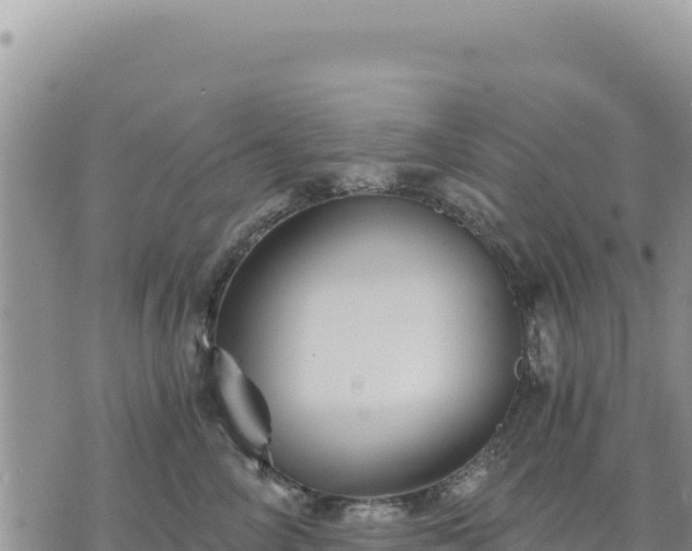 X0000073700714200608101813