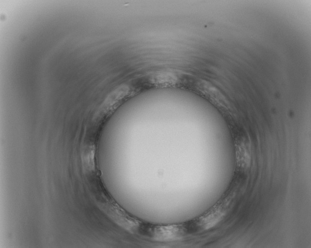 X0000073700717200608101813