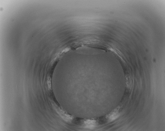 X0000073700718200608101813