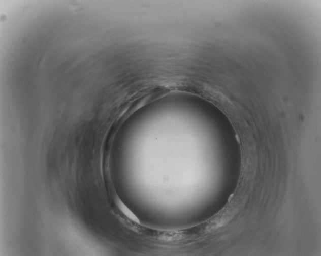 X0000073700720200608101813