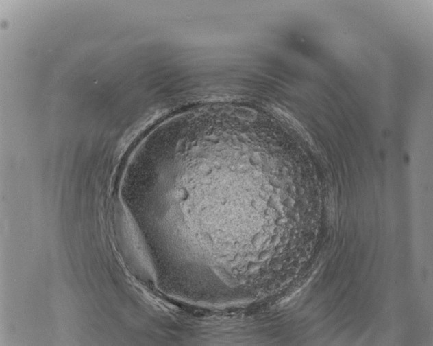 X0000073700721200608101812