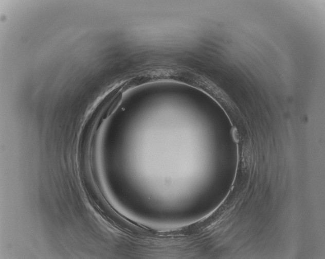 X0000073700722200608101813