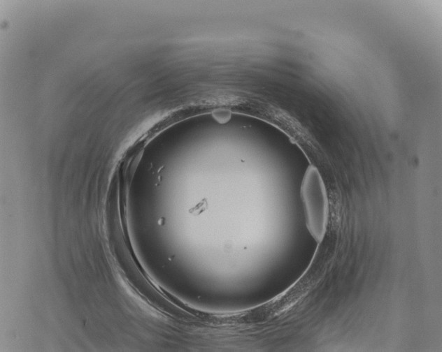 X0000073700726200608101813