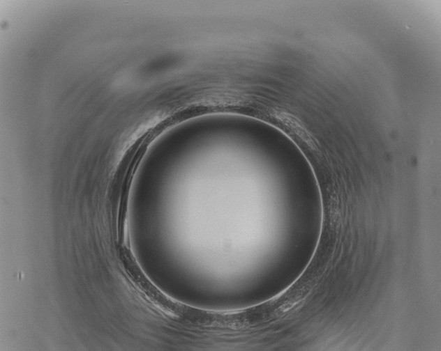 X0000073700727200608101813