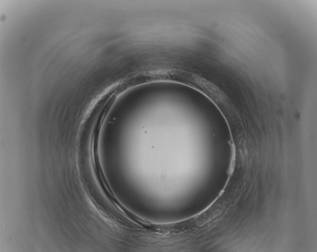 X0000073700728200608101813