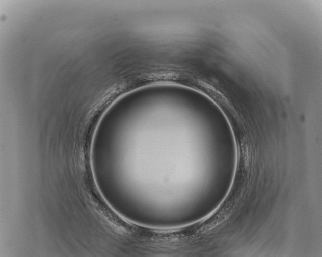 X0000073700729200608101813