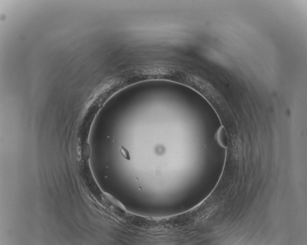 X0000073700731200608101813