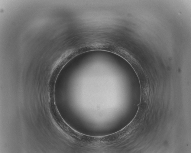 X0000073700734200608101813