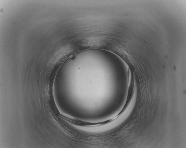 X0000073700735200608101813