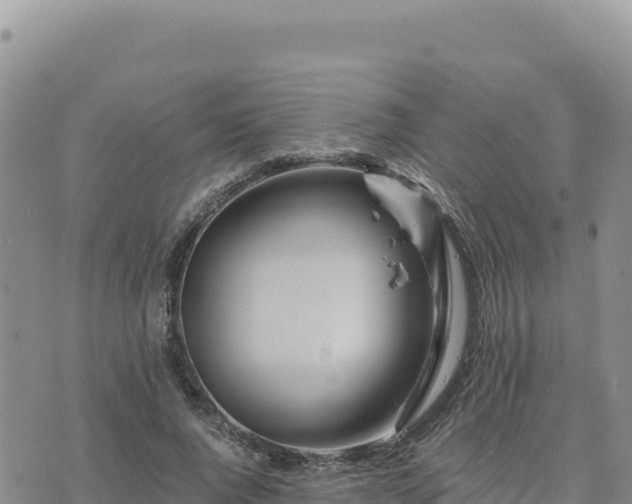 X0000073700736200608101813