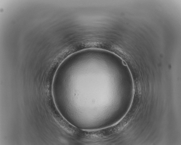 X0000073700737200608101813