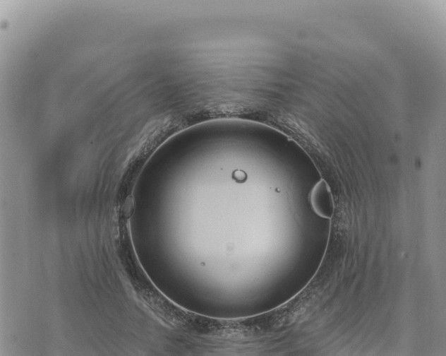 X0000073700738200608101813