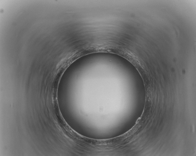 X0000073700740200608101813