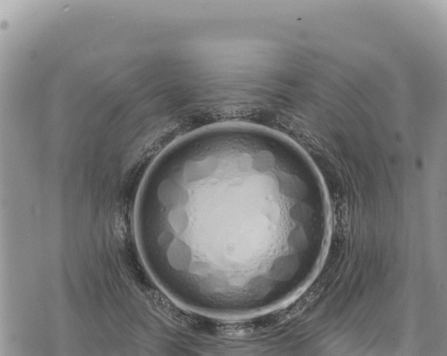 X0000073700746200608101813