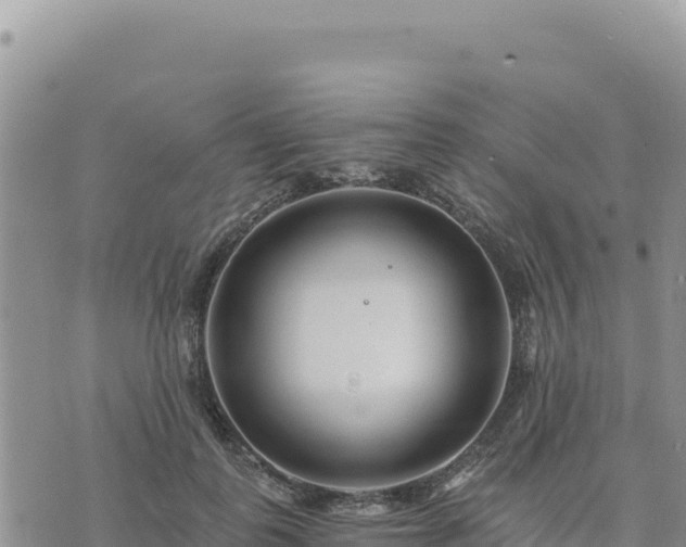 X0000073700747200608101813