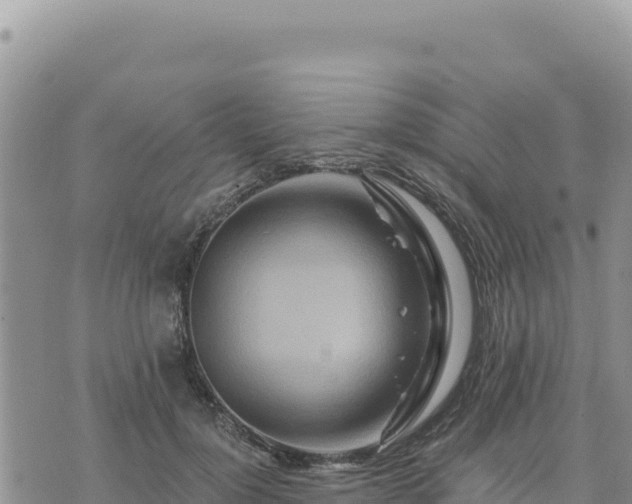 X0000073700748200608101813