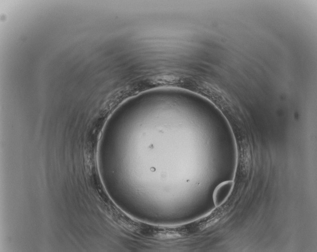 X0000073700749200608101813