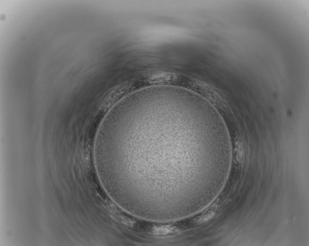 X0000073700753200608101813