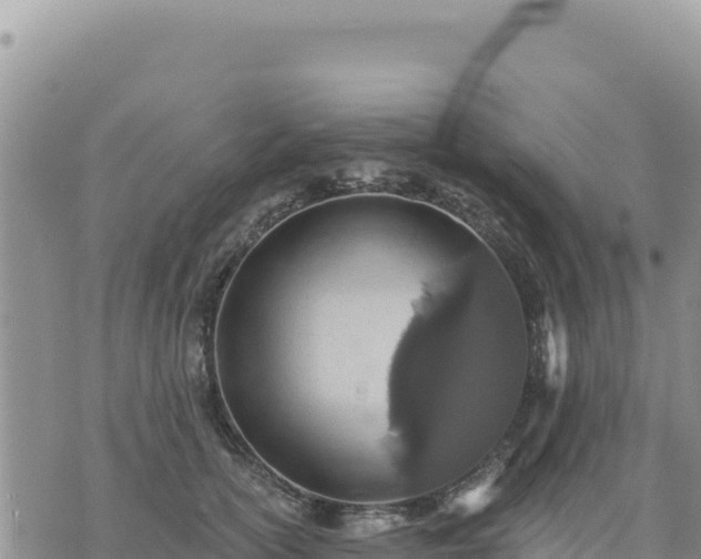 X0000073700754200608101813