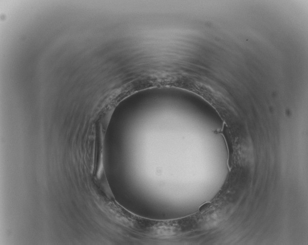 X0000073700756200608101813