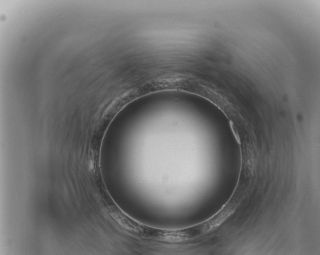 X0000073700758200608101813