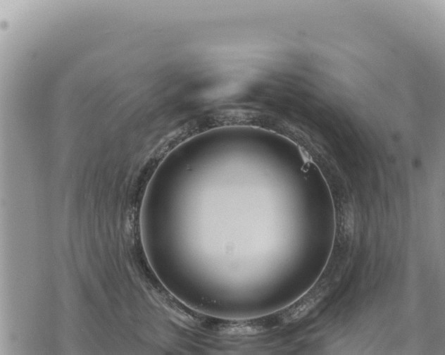 X0000073700759200608101813