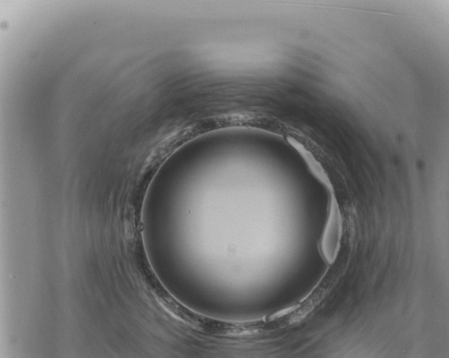 X0000073700760200608101813