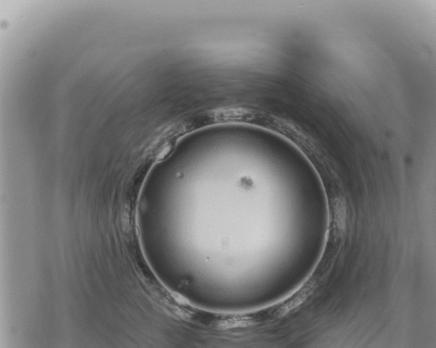 X0000073700761200608101813