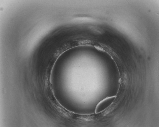 X0000073700763200608101813