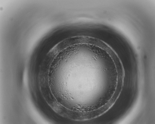 X0000073700765200608101813