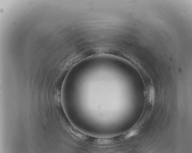 X0000073700766200608101813