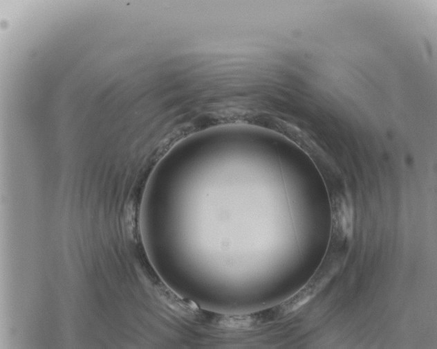 X0000073700767200608101813