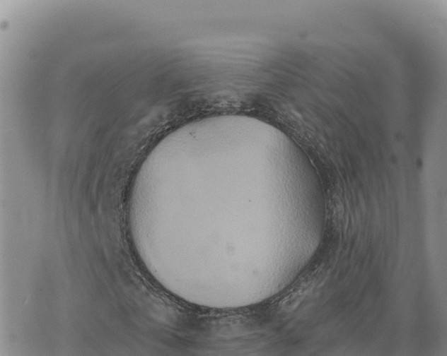 X0000073700769200608101812