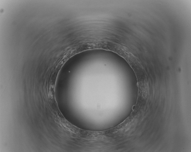 X0000073700770200608101812