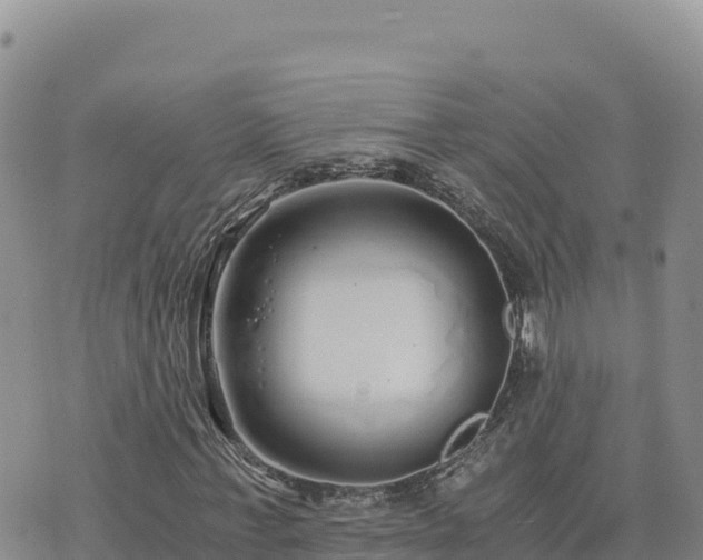 X0000073700771200608101812