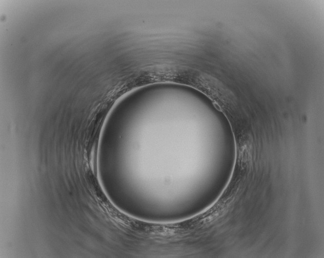 X0000073700772200608101812