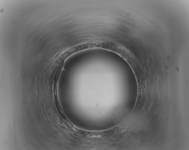 X0000073700773200608101812