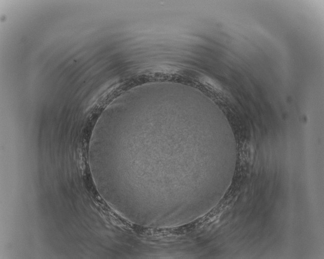 X0000073700774200608101812