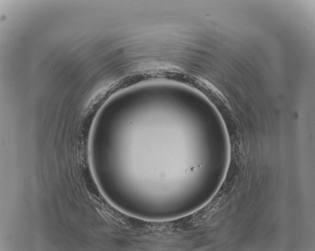 X0000073700775200608101812