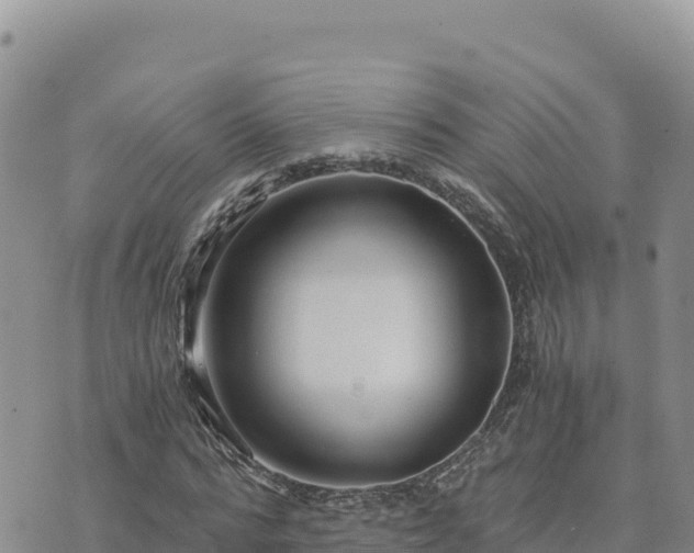 X0000073700776200608101812