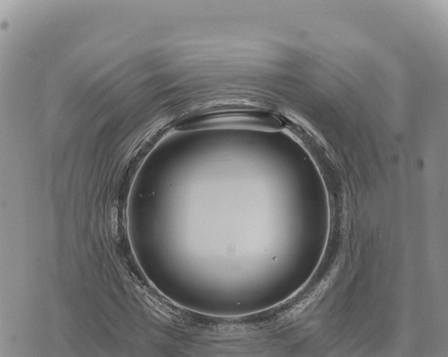 X0000073700777200608101812