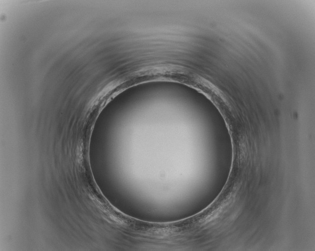 X0000073700778200608101812